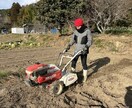 仙人見習が健康の悩み聞きます ぜひ、仙人見習いと健康を語り尽くそうよ！ イメージ3