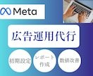 Instagram/Meta広告の運用代行します インスタグラム/フェイスブック広告を運用代行いたします。 イメージ1