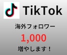 TikTok "海外フォロワー" を増やします 最小１０～　振り分けも対応可！ イメージ1