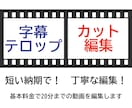 動画のカット編集・字幕テロップ入れします Youtubeでも個人的利用でもOK！安く早く仕上げます！ イメージ1
