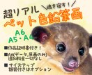 ペット色鉛筆画▶︎超リアルな似顔絵お描きします ーA6サイズです！サイズアップ・額装付きはオプションから♩ イメージ1