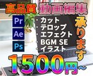 高品質&低価格 Youtube用の動画編集承ります 私も動画投稿者ですので投稿者目線で編集できます！ イメージ1