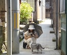 5名様限定価格】プロフ、家族写真撮ります 緊張せず自然体で、印象に残るプロフ/家族写真にします イメージ7