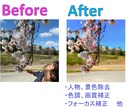 写真の加工10点対応（1枚100円）致します 不要なノイズ削除や画像の加工などお気軽に相談ください イメージ2