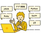 初心者向けPython・Javaレッスンします 90分×4回マンツーマンレッスンです イメージ2