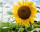 愚痴聴きます 仕事.恋愛.悩み.相談.世間話(^ ^) イメージ1