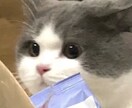 LINE感覚✉️30分間すぐに返信します 電話は苦手だけどお話し相手がほしい、そんなあなたに イメージ2