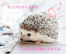 誰かに話したい貴方へ✨️‬優しくお話をお聴きします お悩み/愚痴/雑談/不安…心を整えるお手伝いをします。 イメージ2