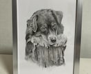 鉛筆画でペットのリアル似顔絵を手描きで作成致します 犬・猫を鉛筆で細部まで丁寧に描きます！ イメージ5