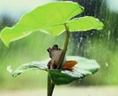 がんばるあなたに寄り添います 「わたしばっかり...」と感じたときに、そっと寄り添います イメージ1