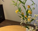 背景映え＆空間お片づけサポートします クリエイター専用！！仕事が楽しくなる背景＆空間コーデ イメージ3