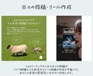 音楽系アカウントSNS運用代行でファンを増やします 音楽、SSW、バンド、集客などSNSでお困りの方へ イメージ5