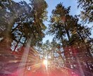 月4名様まで◆願望成就◆5日間祈祷祈願を行います 150,000円→70,000円◆再開記念！望む未来を イメージ1
