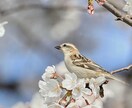ちょっと愚痴りたい人にお勧めします 長時間じゃなく、ほんのちょっとだけ聞いて欲しい人。 イメージ1