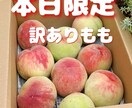 野菜　果物中心売れる文章作成します 50代おはちゃん農家さん向け 売れるメルカリ文章お作りします イメージ10