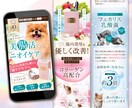 月3名限定！女性に刺さるセールスLPを制作します UTAGE構築も対応可・Studio・ペライチ｜修正無制限 イメージ9