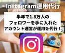 2.7万フォロワー運営がインスタ運用を代行します インスタグラムで熱狂的なファンを増やしサービス認知度UP！ イメージ1