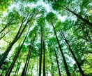 月曜日⭐️電話30分無料開放します 恋愛、人間関係、子育て、ペットの気持ちetc うつ、パニック イメージ1
