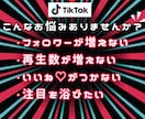 TikTokのいいね増加します TikTokいいね！増やします！アカウント強化にオススメ！ イメージ2