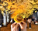 思い出の写真を自然に加工・合成します 綺麗な画像合成をして欲しい方へ イメージ1
