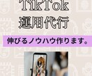 TikTokの運用を代行します 数字につなげるTikTok運用代行！安価に数字up！ イメージ1