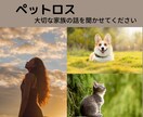 ペットロス★あなたの大事な家族の話を伺います ペットを愛する家族と思える人にしかわからない痛みがあります。 イメージ1