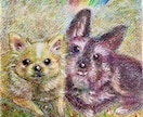 クレヨン画でペットや家族の肖像画を描きますます 油絵のような重厚感。大切なうちの子を暖かく残しませんか？ イメージ1