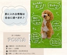 手書きトリセツ風うちの子名刺作ります スマホ写真OK！印刷代込100枚セミオーダーのペット名刺 イメージ2
