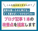ブログ記事1本の改善点を提案します 記事単位の改善：構成・内容・ニーズ・ライバル分析を整理 イメージ1