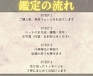 あの子の気持ちを神言霊視でお伝えします 亡きペットの声をもう一度聞きたいあなたへ イメージ4