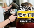 YouTubeのサムネイルを作ります 【10月末までの価格】小さくても読める文字組みにします イメージ4