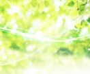 現役看護師の悩み、不安、愚痴など何でも聞きます 経験者が寄り添います仕事や人間関係の悩みまで　何でも！ イメージ4
