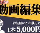 動画編集承ります クオリティの高い動画編集を致します！ イメージ1