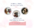 愛犬・愛猫を看取った経験者がシニア期の不安聴きます シニア期・介護の不安･･･。ひとりで抱え込まずお話ください イメージ4