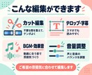 3000円~！即対応！動画編集します 見やすい字幕とテンポのよい編集で、伝わる動画に！ イメージ2