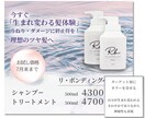 思いを形にお客様に伝わるチラシ作成ます 目的・着地点をしっかりと伝えるチラシDMを制作します イメージ3