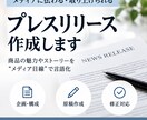 メディア目線でプレスリリースを作成します 商品の魅力をニュースになる切り口で言語化します イメージ1