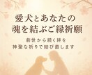 愛犬とあなたの魂を結ぶご縁祈願します 魂で出逢った愛犬とのご縁を神代の祈りで深く結び直すご祈願です イメージ1