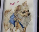 うちの子、お空ぐみの子、を可愛く描きます 可愛くフリーハンド、色鉛筆等でポストサイズからA4判サイズ イメージ9