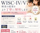 WISC-Ⅳ/Ⅴ検査の結果をより丁寧に解析します 実績500件超／役立てやすい支援策をご提案いたします！ イメージ1