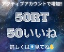 あなたのX(Twitter)ポストを宣伝いたします X/Twitter/ポスト/ツイート/50RT50いいね イメージ1