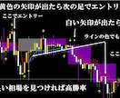 知らなきゃ大損 最速で バイナリー勝ち組になれます 10万円分の特典 バイナリーオプション インジケーター手法 イメージ3