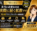 X投稿を30日間アクティブに拡散サポートします あなたのその伸び悩み…30日間で正しい運用でアクティブに！ イメージ1