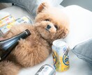 まったりお話しします サシ飲み気分でお話ししましょ♪1分からお試し歓迎 イメージ1