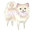 アイコンイラスト描きます こちらは動物のみです、人物は別になります。 イメージ2