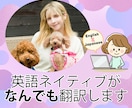 アメリカ人が漫画、メニュー、大体なんでも英訳します 10年以上の経験、ネイティブによるハイクオリティな翻訳 イメージ1