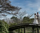 挙式披露宴撮影データ　補正・セレクト代行します あなたの画像処理の時間を有効活用しませんか？ イメージ9
