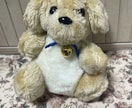 ぬいぐるみ制作致します オリジナルぬいぐるみ制作します イメージ8