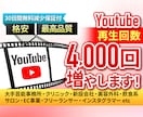 YouTubeの再生回数4000回増やします ✨再生回数+4000回＆評価+1000件➡3,000円✨ イメージ9