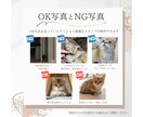 スマホ写真からLINEスタンプ作成します 可愛いわが子の写真から家族みんなで使えるシンプルスタンプ イメージ4